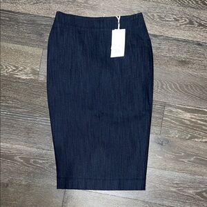 Classic Pencil Skirt
